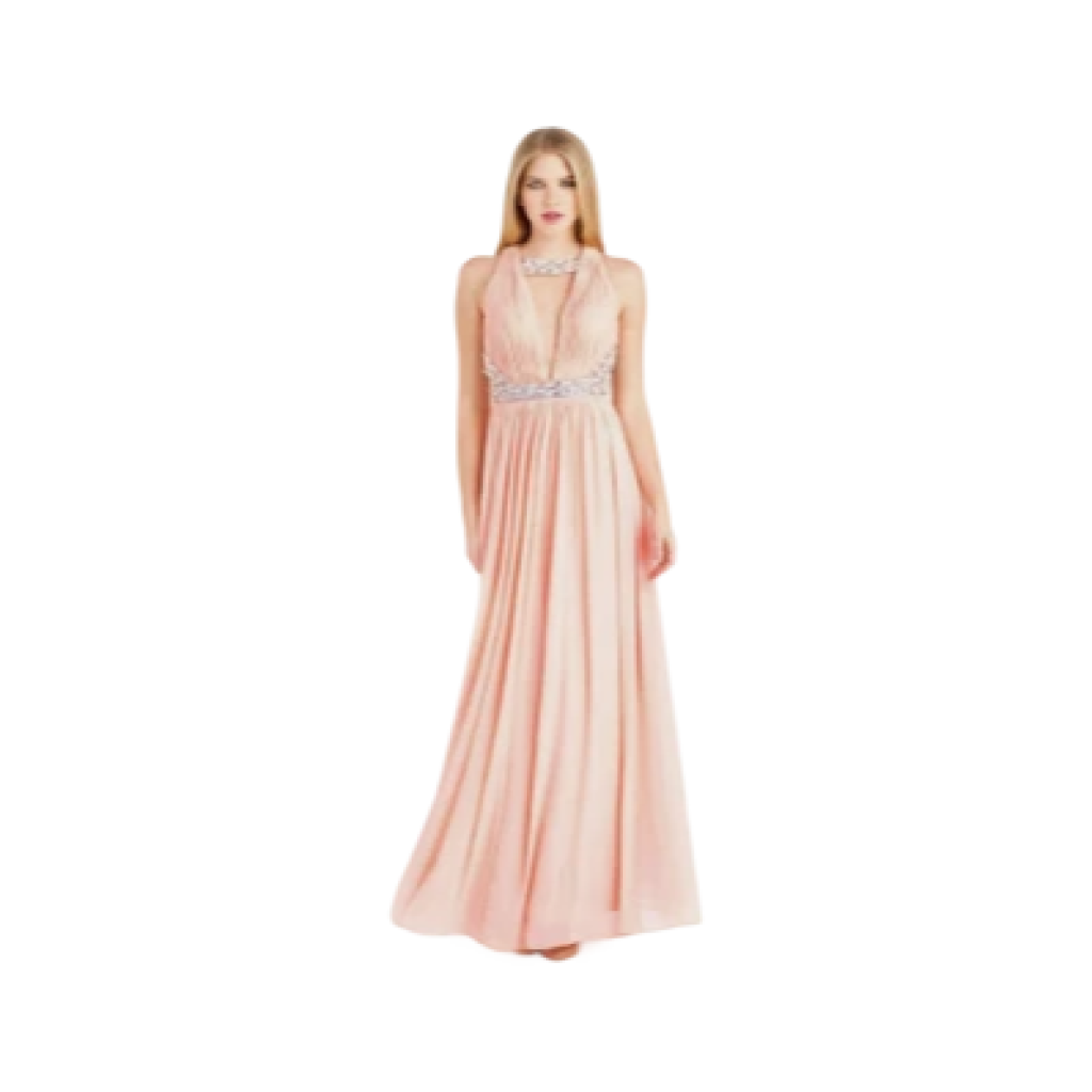 Embellished Nola Pink Ballgown Dress